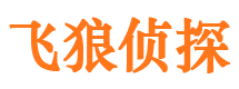 临武市婚外情调查